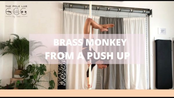 FR BRASS MONKEY FROM PUSH UP