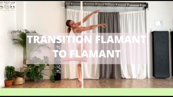 FR TRANSITION FLAMANT TO FLAMANT